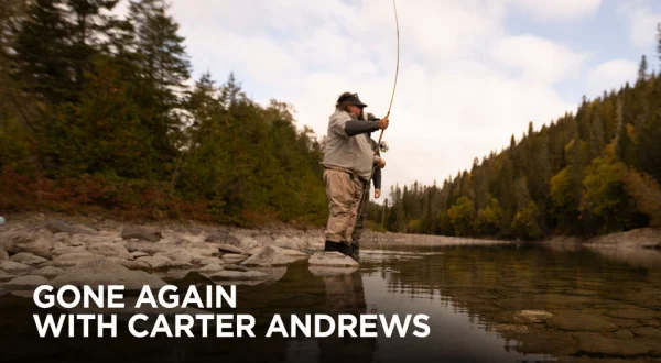 Gone Again With Carter Andrews