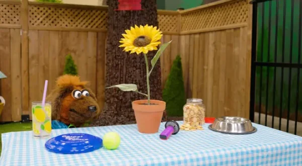 Dusty's Neighbourhood