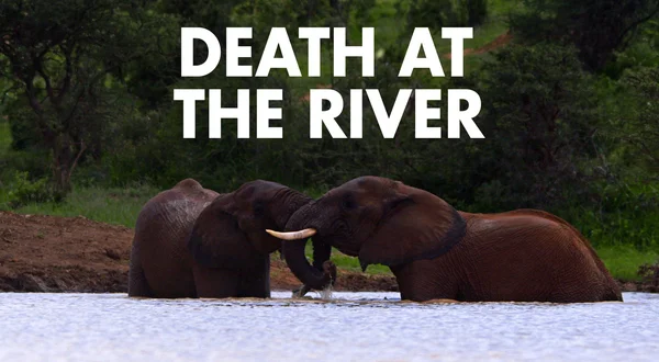 Death at the River