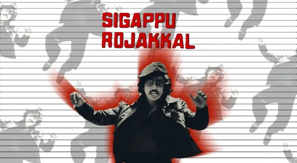 சிகப்பு ரோஜாக்கள்