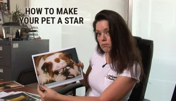 How to Make Your Pet a Star