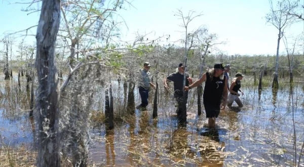Strážcové parku Everglades