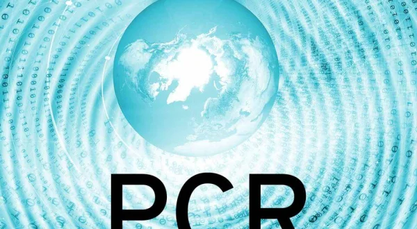 PCR