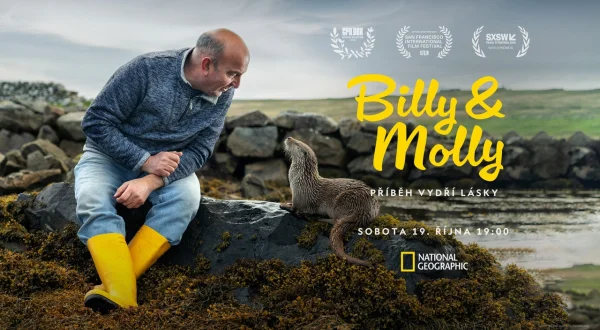 Billy & Molly: Eine Liebe zwischen Mensch und Otter