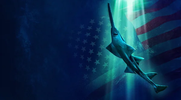 Alien Sharks: Untamed America