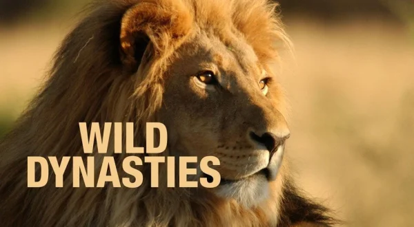 Wild Dynasties