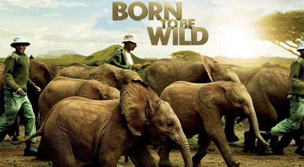 Born to Be Wild
