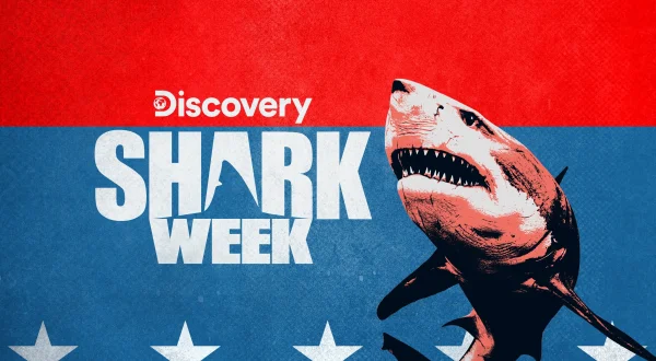 Sharks Of The Badlands