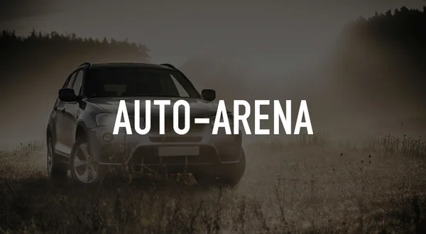 Auto-Arena