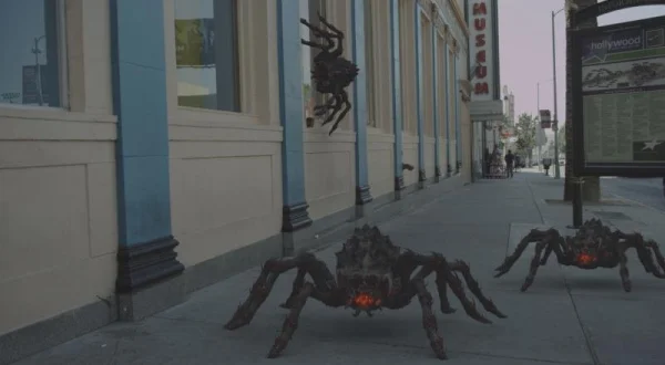 Turbotarantule: Láva poraženým