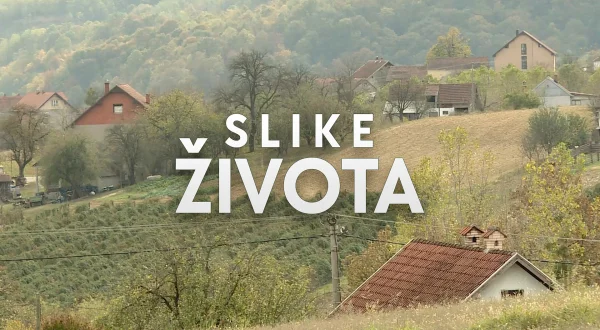 Slike života