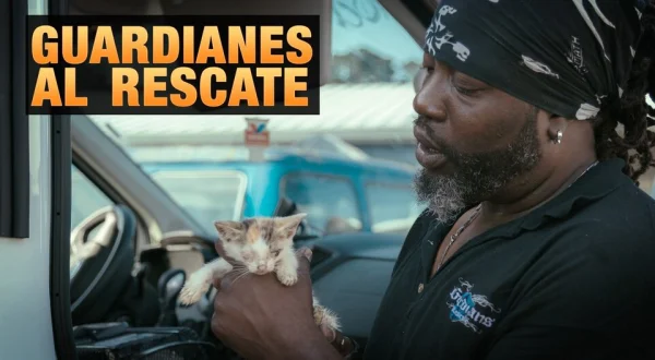 Guardianes al rescate