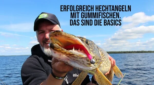 Erfolgreich Hechtangeln mit Gummifischen. Das sind die Basics