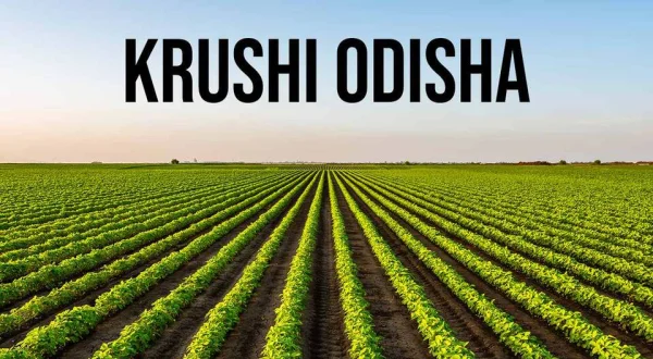 Krushi Odisha
