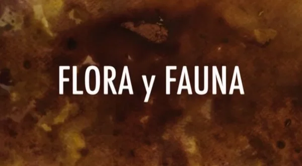 Flora y fauna
