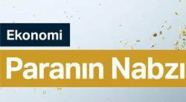 Paranın Nabzı