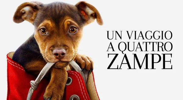 A Dog's Way Home
