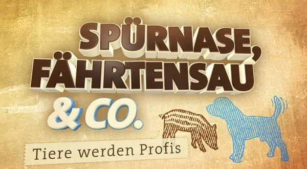 Spürnase, Fährtensau & Co