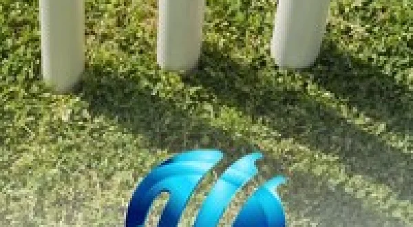 Women's One-Day International Cricket