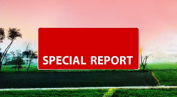Special Report