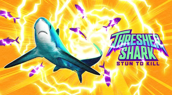 Thresher Shark: Stun to Kill