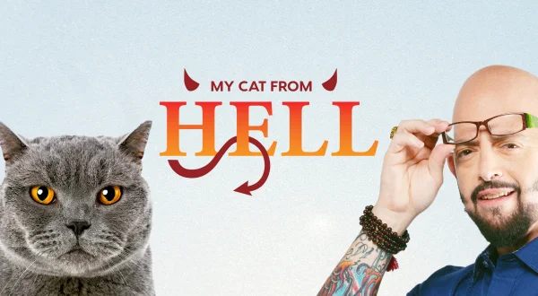 My Cat From Hell