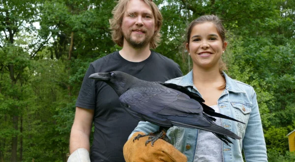 Anna und die wilden Tiere