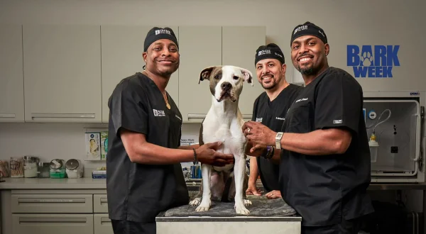 Veterinarski život