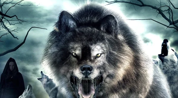 I Am Wolf