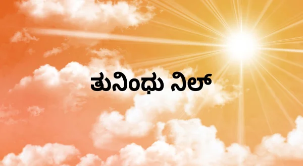 துணிந்து நில்