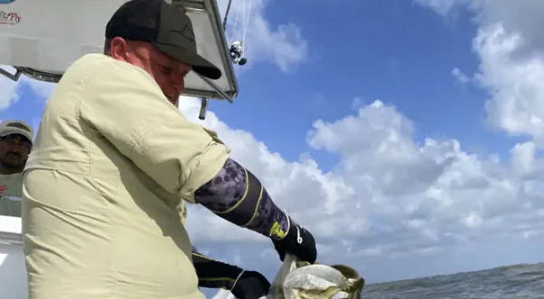 Dans l'œil du tarpon