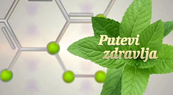 Putevi zdravlja