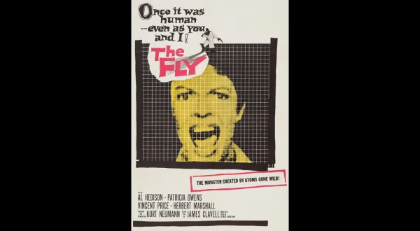 The Fly