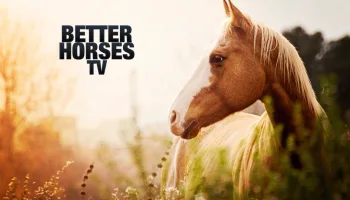 Better Horses TV