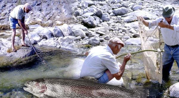 Pesca tradicional en el río. Técnicas y trampas primitivas para pescar