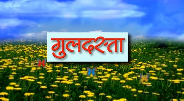 గుల్దస్తా