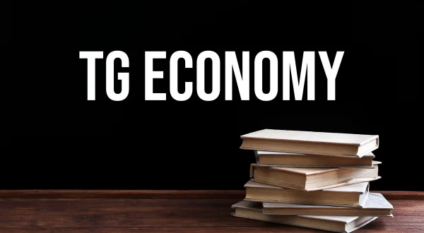 TG Economy
