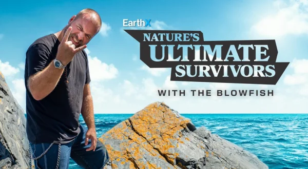 Nature's Ultimate Survivors With the Blowfish