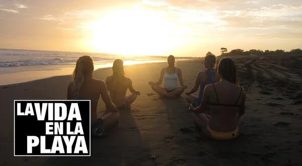 La vida en la playa