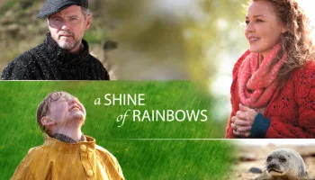 A Shine of Rainbows