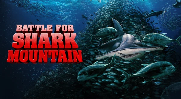 Battle for Shark Mountain