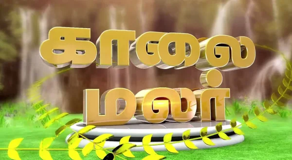 காலை மலர்