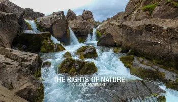 The Rights of Nature: A Global Movement