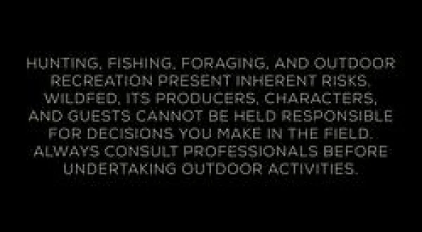 Wild Fed S1 EP8 - Pigeon & Wild Mushrooms