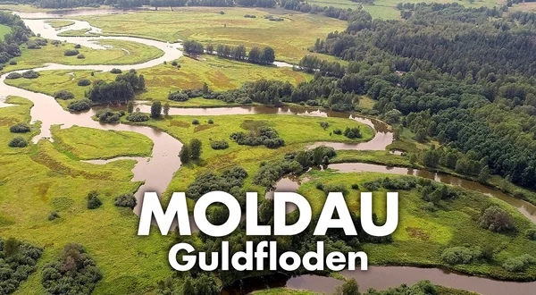 Moldau: Guldfloden