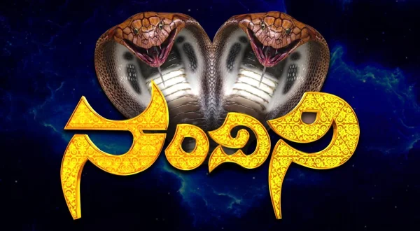 నందిని
