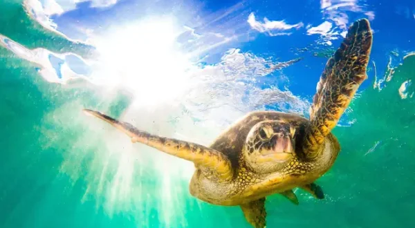 Tropical Islands: Le isole delle meraviglie