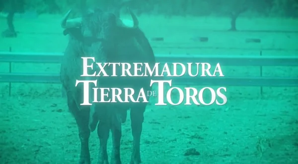 Extremadura: Tierra de toros