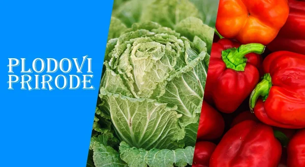 Plodovi prirode
