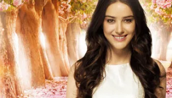 Cherry Season La Stagione Del Cuore
